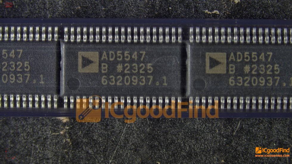 1782182946813635.jpg